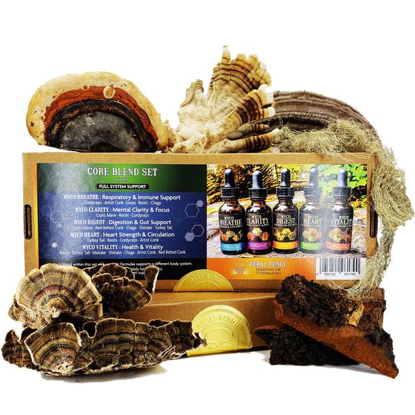 1 oz Core Blend Set, set of 5 spagyric tinctures