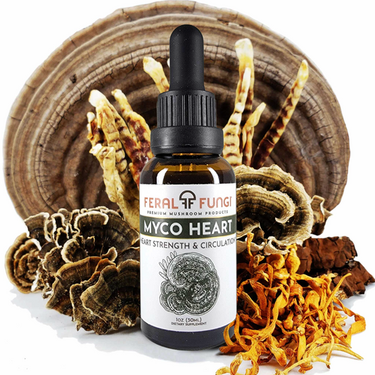 Myco-Heart Spagyric Tincture 1oz.