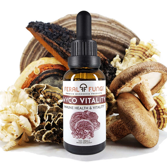 Myco-Vitality Spagyric Tincture 1oz.