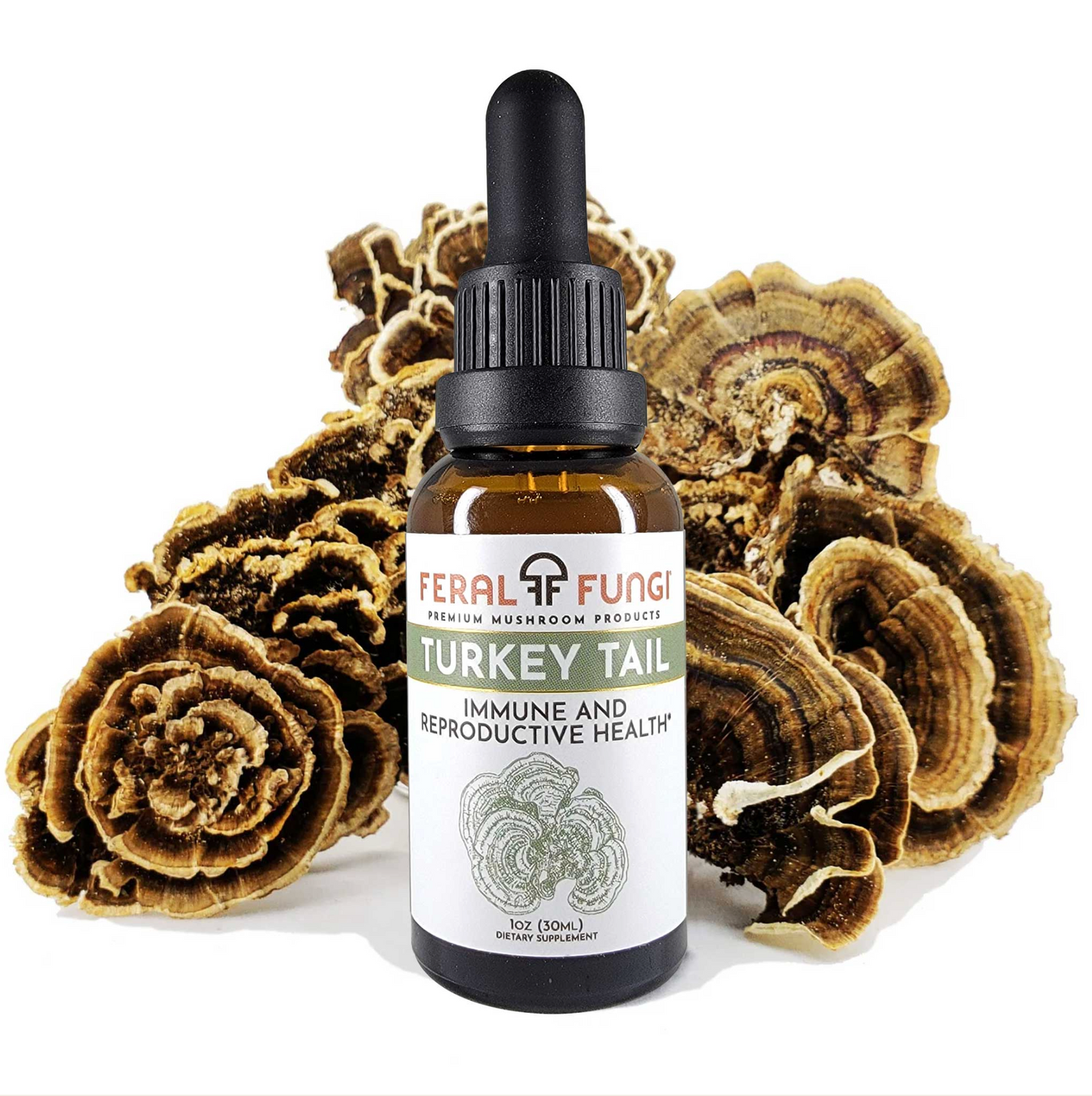 Turkey Tail, immune and reproductive health